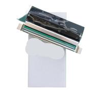 LCYSXTFZ Tête d'impression 300 dpi P1058930-010 Compatible avec ZT410 ZT411