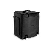 LD Systems ROADBUDDY 10 PC