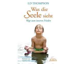 LD Thompson Sab Was die Seele sieht. Wege zum inneren Frieden (Channelin (Relié)
