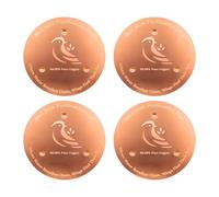 Ldabrye Lot de 2 disques métalliques pour bains d'oiseaux avec densité de 0,6 mm et disposition triple assistance pour aider les schémas de couleurs des oiseaux, assainissement de l'eau, réponse au