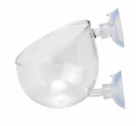 Ldabrye Ventouses en verre avec ventouses pour plantes aquatiques, aquariums, paysages