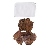 LDAUYZLING - Feuille d'olive Terminalia Catappa Naturelle pour Aquarium, Valeur de PH inférieure, abaissement de l'acide, amélioration de la qualité de l'eau du réservoir de