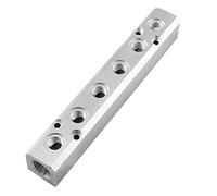 LDEXIN Bloc de distribution d'air pneumatique à 6 voies, collecteur d'air comprimé, coupleur d'air rapide pour compresseur d'air pneumatique, argenté