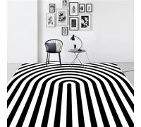 Ldiuttu Tapis Salon 90 x 150 cm Tapis Entrée Antidérapant Intérieur Moquette Doux Chambre Rectangulaire Poil Courts Noir Moderne