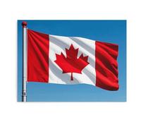 LDTVSFZQ Toile murale rétro avec motif drapeau du Canada - Impressions d'œuvres d'art modernes sans cadre pour salon, chambre à coucher, cuisine - 40 x 30 cm