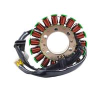 LDUTIU Kit D'assemblage De Bobine De Stator De Générateur De Pièces De Moto pour CBR600 pour CBR600F4i 2001-2006 pour CBR 600 pour F4i 31120-MBW-J21 Moto S