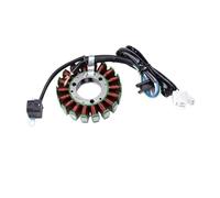 LDUTIU pour TTR pour TT 250 R Moto Générateur Stator Bobine Comp pour TTR250 pour TT-R250 pour TT250R Raid pour TT250 4GY-81410-01-00