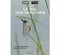 Le Bal des Mouches