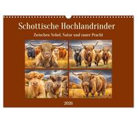 Le bétail des Highlands écossais. Entre brouillard, nature et splendeur brute, Version française (Calendrier mural 2026 DIN A3 portrait), Calendrier CALVENDO mensuel