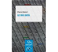 Le Big Data - Pierre Delort - Que Sais-Je - Poche - Etude