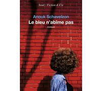 Le bleu n'abîme pas - Anouk Schavelzon - Seuil - broché - Roman