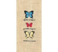 Le Bonheur des Dames Petit Point Kit de broderie Blanc