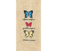 Le Bonheur des Dames Petit Point Kit de broderie Blanc