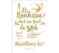 Le Bonheur dort au fond de soi David Hare (Auteur)