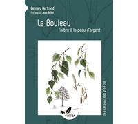 Le Bouleau, l'arbre à la peau d'argent
