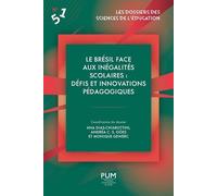 Le Brésil Face Aux Inégalités Scolaires : Défis Et Innovations Pédagogiques