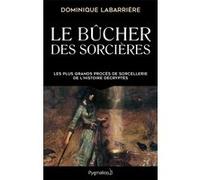 Le Bûcher des sorcières Dominique Labarrière (Auteur)