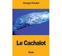 Le Cachalot