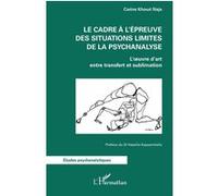 Le Cadre À L'épreuve Des Situations Limites De La Psychanalyse - L'oeuvre D'art Entre Transfert Et Sublimation