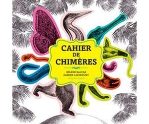 Le cahier de chimères Damien Laverdunt (Auteur), Hélène Rajcak (Auteur)