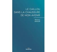 Le caillou dans la chaussure de mon avenir