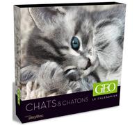 Le calendrier Géo : Chats & chatons