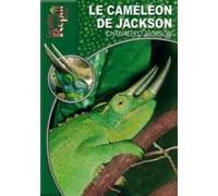 Le Caméléon De Jackson - Chamaeleo Jacksoni