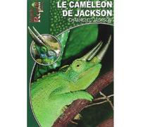 Le caméléon de Jackson - Chamaeleo jacksonii Chamaeleo Jacksonii - Collectif - Animalia - broché - Guide