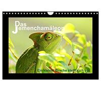 Le caméléon du Yémen, Version française (Calendrier mural 2026 DIN A4 portrait), Calendrier CALVENDO mensuel