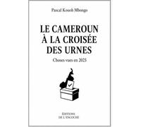 Le Cameroun à la croisée des urnes: Choses vues en 2025