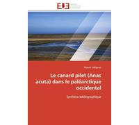 Le canard pilet (Anas acuta) dans le paléarctique occidental: Synthèse bibliographique
