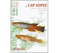 Le cap Lopez - Aphyosemion australe - Collectif - Animalia - broché - Livre