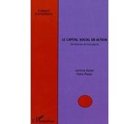 Le capital social en action Territoires et transferts - Jérôme Ballet - L'harmattan - broché - Essai