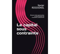 Le capital sous contrainte: Banques, fonds opportunistes et restructuration de l’immobilier professionnel