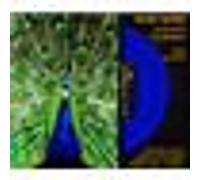 Le Carnaval Des Animaux, Concerto Pour Violon Et Orchestre No. 3 En Si Mineur Opus 61, Havanaise Opus 83, Introduction Et Rondo Capriccioso Opus 28