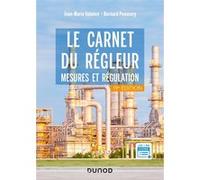 Le carnet du régleur - 19e éd.: Mesures et régulation