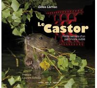 Le castor : Petits secrets d'un patrimoine oublié