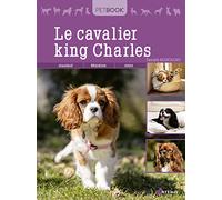 Le cavalier king Charles