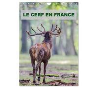 LE CERF EN FRANCE (Calendrier mural 2025 DIN A4 horizontal), CALVENDO calendrier mensuel: Photographies de cerfs en France.