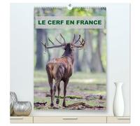 LE CERF EN FRANCE (Calendrier mural 2026 DIN A2 horizontal) calendrier de bureau: Photographies de cerfs en France.