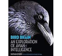 Le cerveau des oiseaux : Une exploration de l'intelligence aviaire