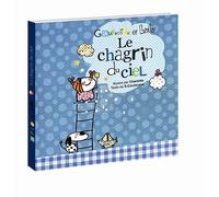 Le chagrin du ciel