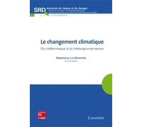 Le changement climatique Du méta-risque à la méta-gouvernance - Franck Guarnieri - Technique Et Documentation - broché - Etude