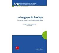 Le changement climatique du metarisque a la metagouvernance - La Branche - Technique Et Documentation - broché - Livre