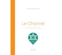 Le Channel/Les abattoirs à Calais Histoire de construire une scene nationale / calais - Anne-Marie Fèvre - Actes sud - broché - Beau livre