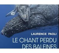 Le chant perdu des baleines: Quand la pollution sonore étouffe les voix de l’océan