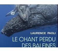 Le Chant Perdu Des Baleines - Quand La Pollution Sonore Étouffe Les Voix De L'océan