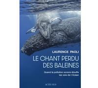 Le chant perdu des baleines: Quand la pollution sonore étouffe les voix de l’océan