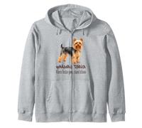 Le Chaos Suit Un Chien Yorkshire Terrier où va Yorkie Sweat à Capuche