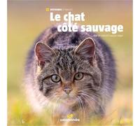 Le chat côté sauvage